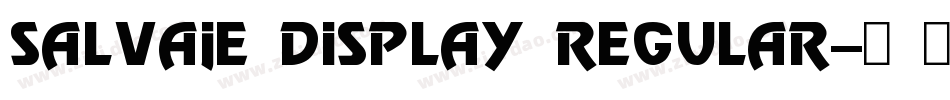 Salvaje Display Regular字体转换